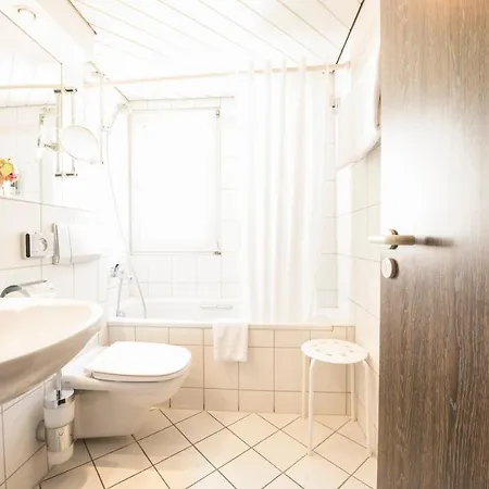 Traube Ruedesheim Готель 4*