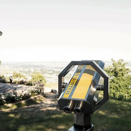 Traube Ruedesheim Hotel 4*