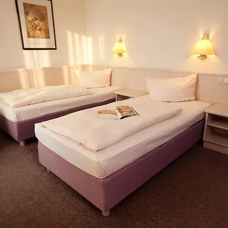 Traube Ruedesheim Готель 4*