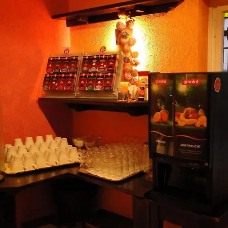 Traube Ruedesheim Готель Рюдесгайм-ам-Райн