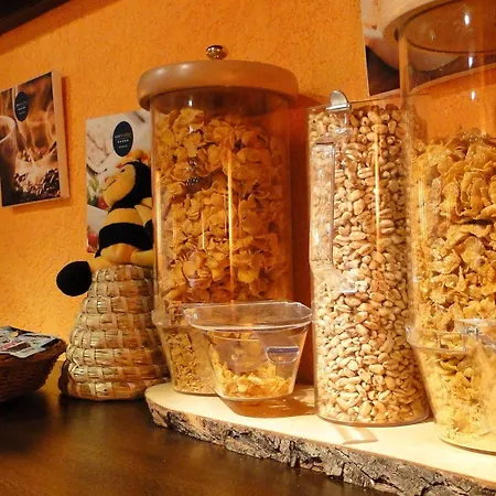 Traube Ruedesheim Rüdesheim am Rhein