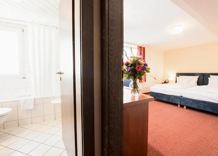 Traube Ruedesheim 4* Ruedesheim am Rhein