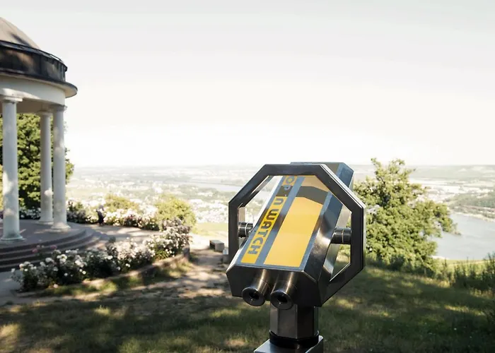 Traube Ruedesheim Hotel 4*