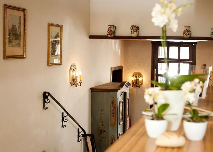 Traube Ruedesheim Hotel